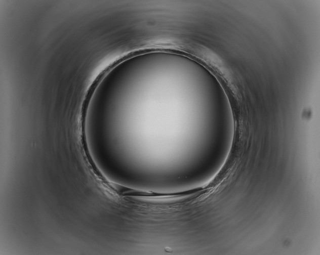 X0000098171328200804241147