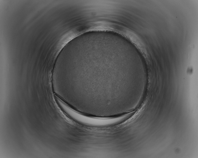 X0000098171329200804241147