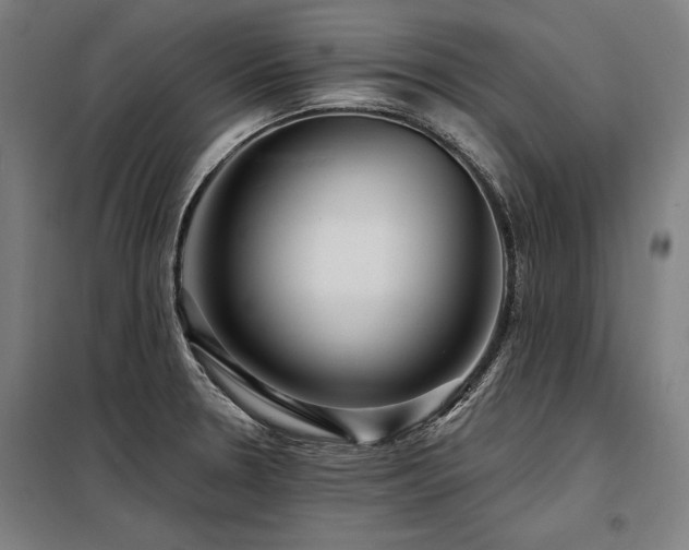 X0000098171330200804241147