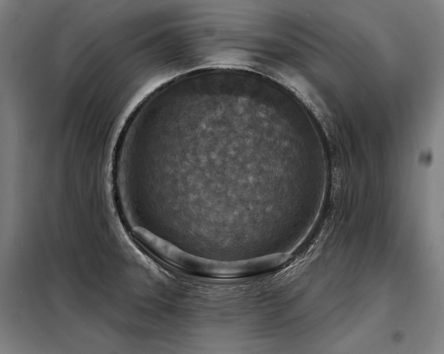 X0000098171331200804241147