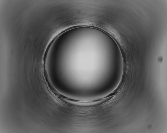 X0000098171332200804241147