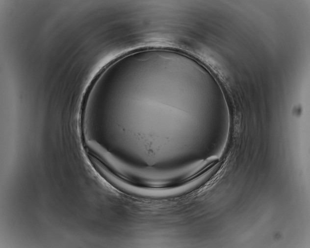 X0000098171334200804241147