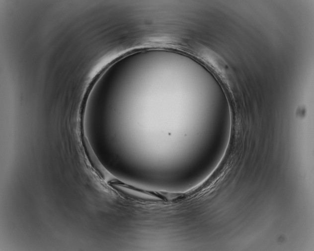 X0000098171336200804241147