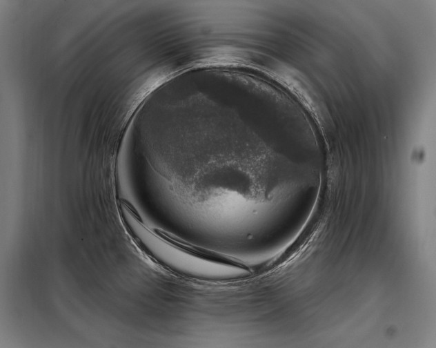 X0000098171337200804241147