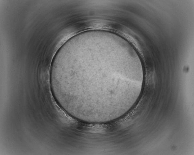 X0000098171338200804241147
