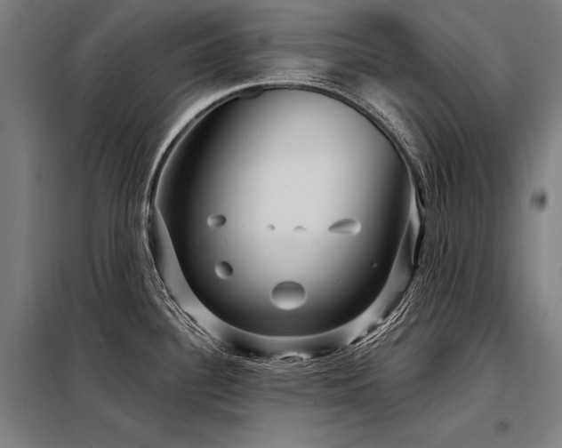X0000098171340200804241147