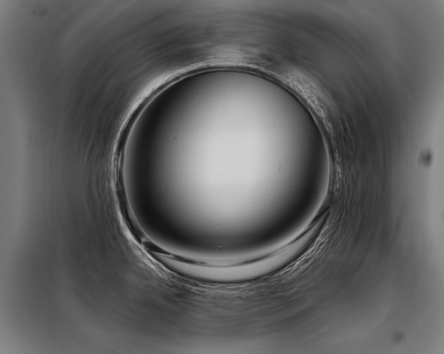 X0000098171342200804241147