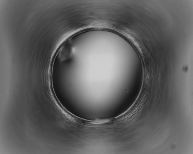 X0000098171343200804241147