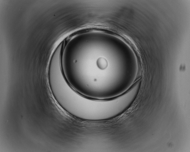 X0000098171344200804241147