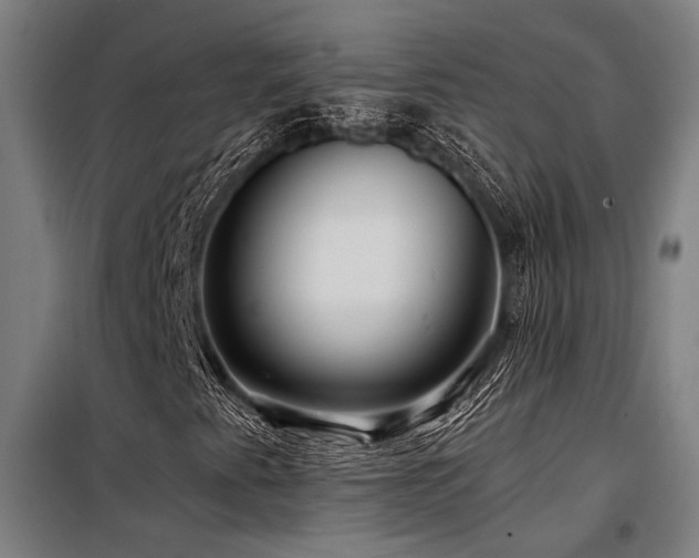 X0000098171345200804241146