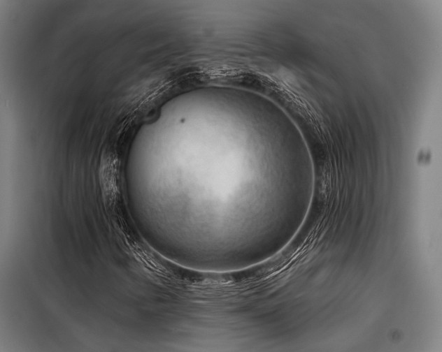 X0000098171346200804241146