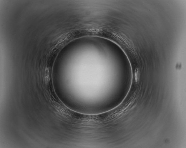 X0000098171347200804241146