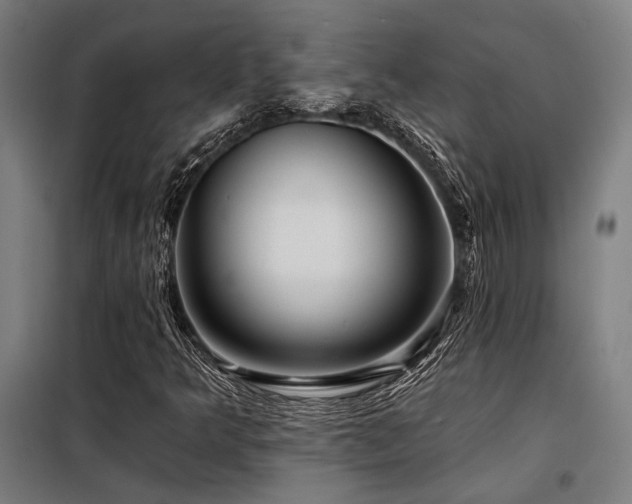 X0000098171349200804241146