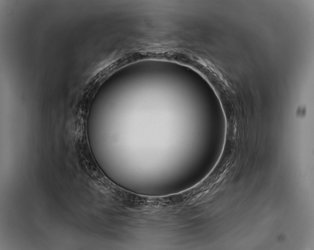 X0000098171350200804241146
