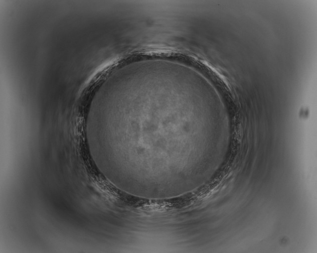 X0000098171351200804241146
