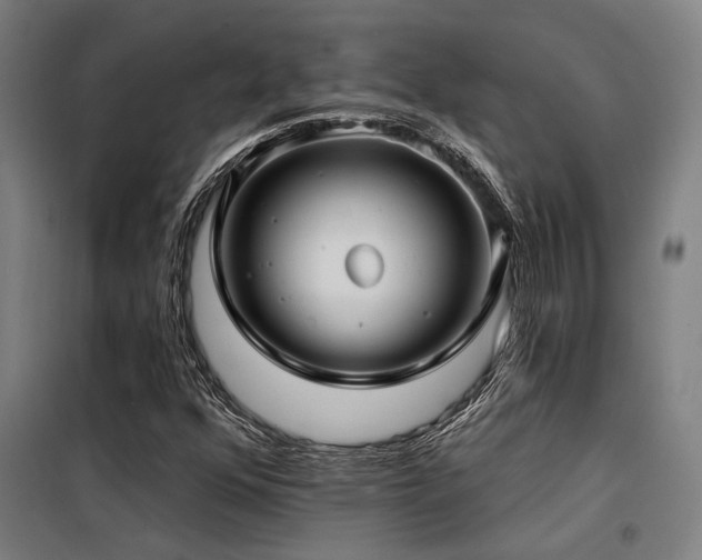 X0000098171352200804241146