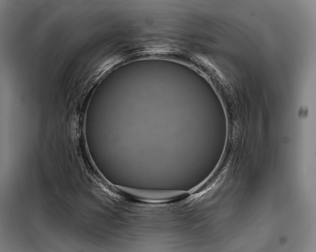 X0000098171353200804241146