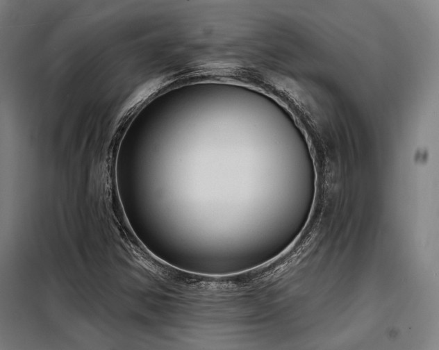 X0000098171354200804241146