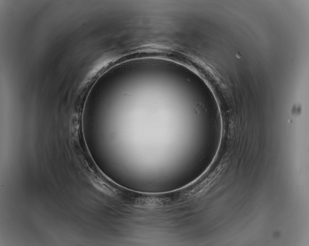 X0000098171355200804241146
