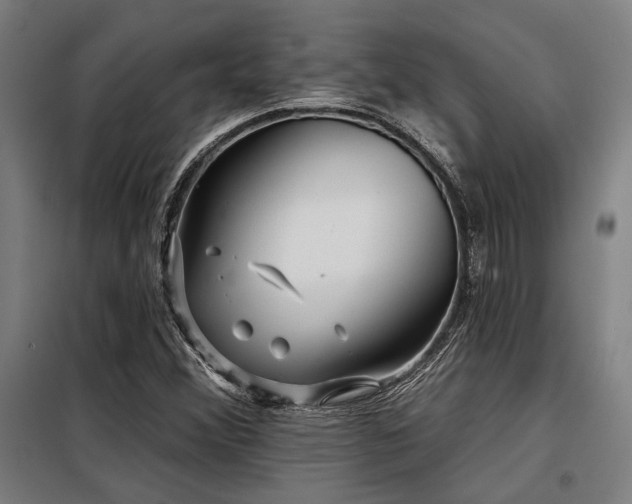 X0000098171356200804241146