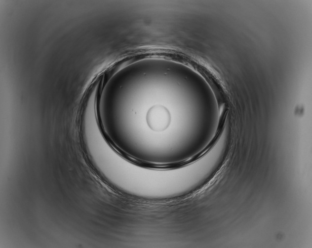 X0000098171357200804241146