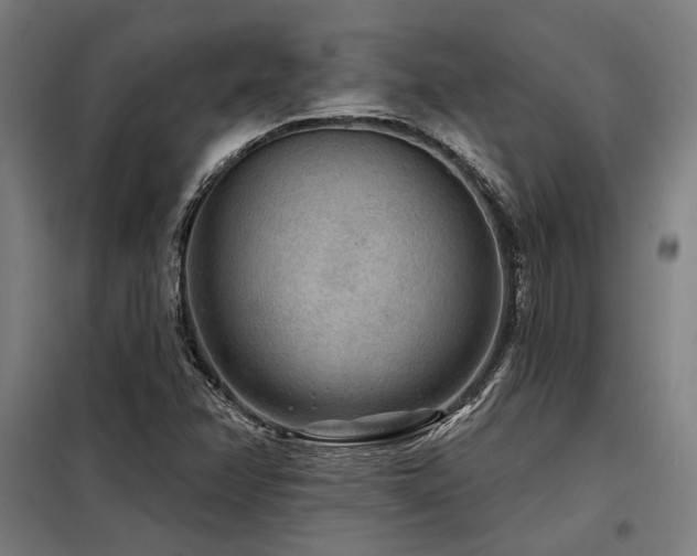 X0000098171358200804241146