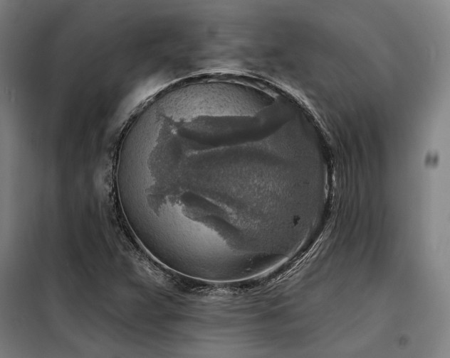 X0000098171359200804241146