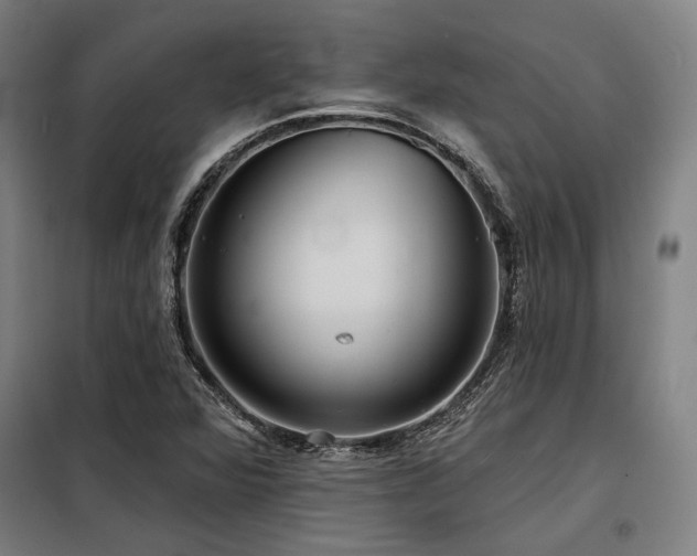 X0000098171360200804241146