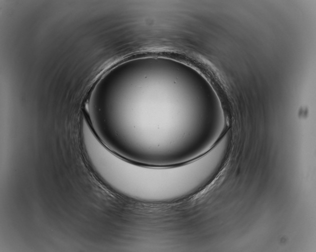 X0000098171361200804241146