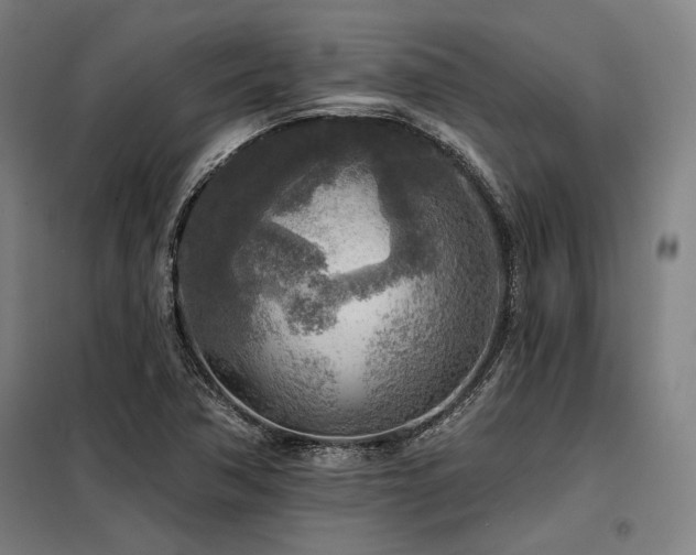 X0000098171362200804241146