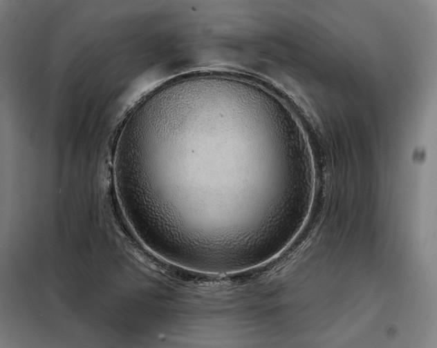 X0000098171363200804241146