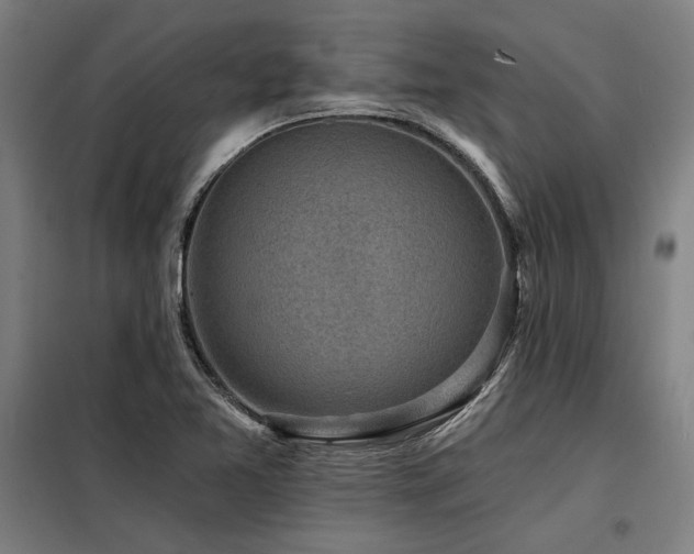 X0000098171365200804241146