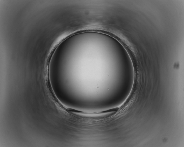 X0000098171366200804241146