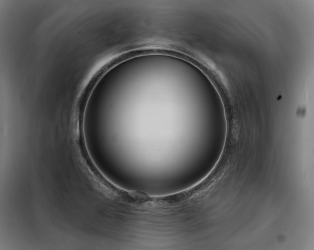X0000098171368200804241146
