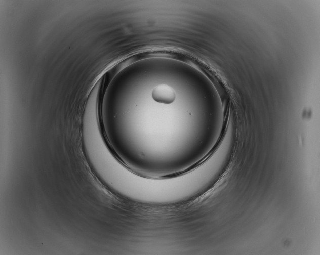 X0000098171369200804241146