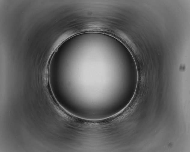 X0000098171370200804241146