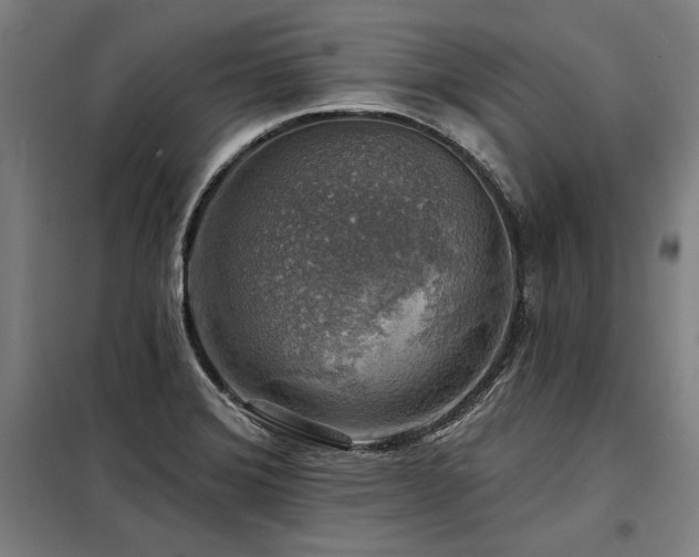 X0000098171372200804241146