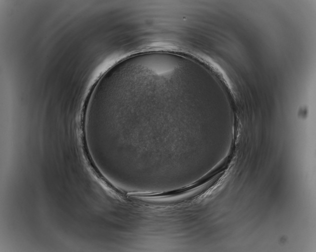 X0000098171373200804241146