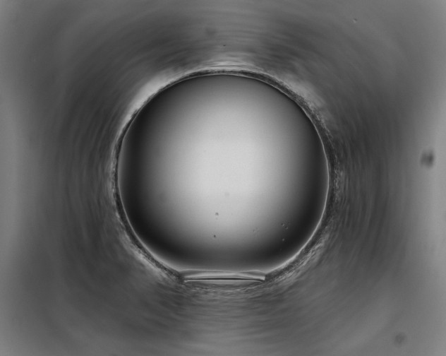 X0000098171374200804241146