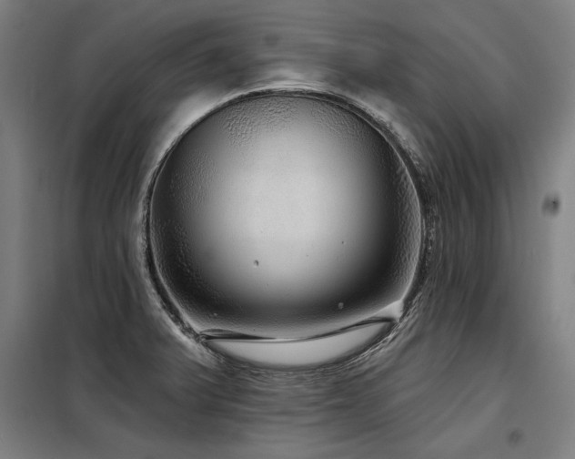 X0000098171375200804241146