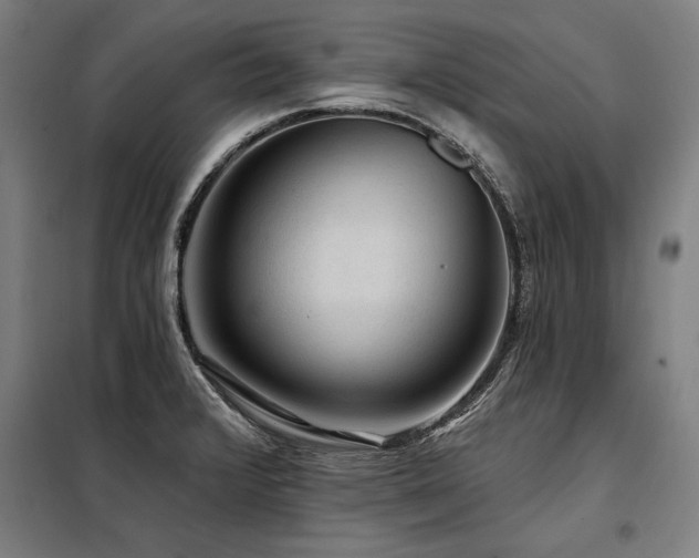 X0000098171376200804241146