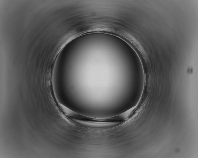 X0000098171377200804241146