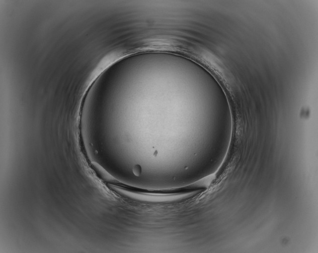 X0000098171378200804241146