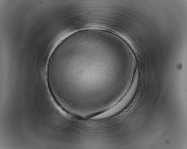 X0000098171379200804241146