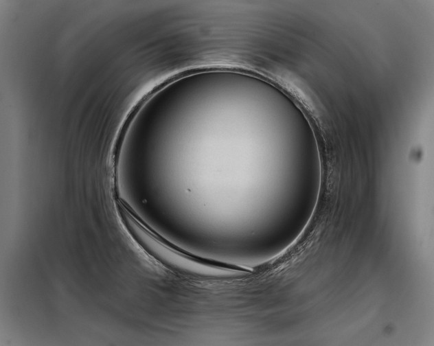 X0000098171380200804241146