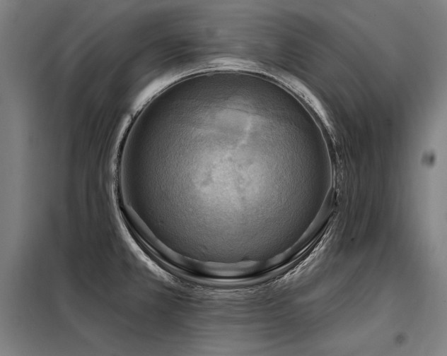 X0000098171381200804241146