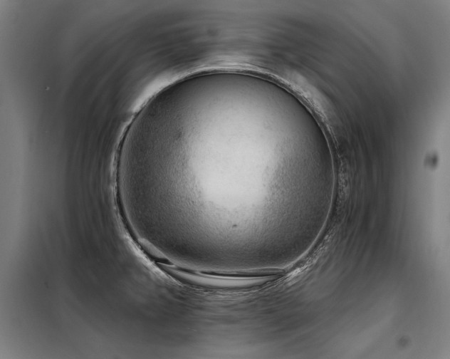 X0000098171382200804241146