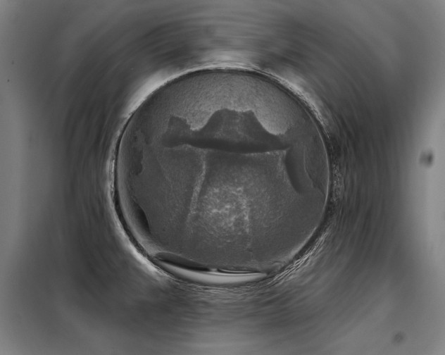 X0000098171383200804241146