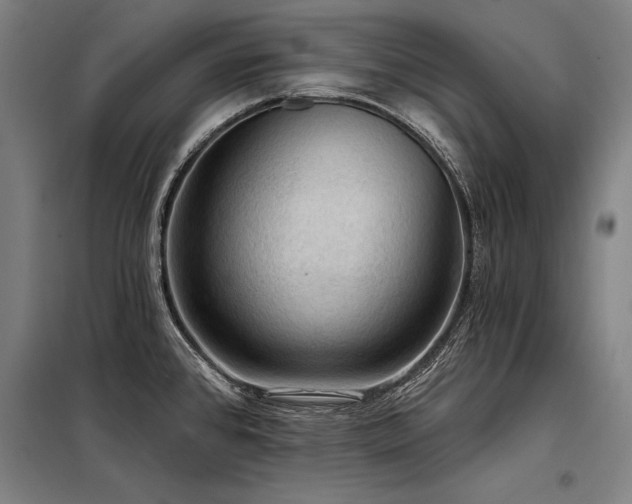 X0000098171384200804241146