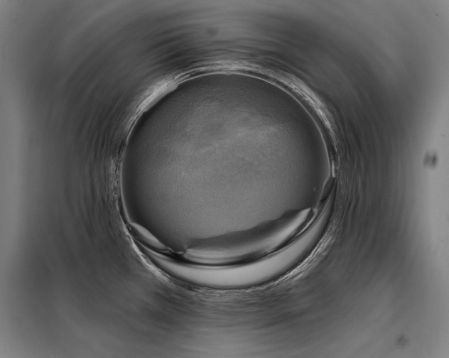 X0000098171385200804241146